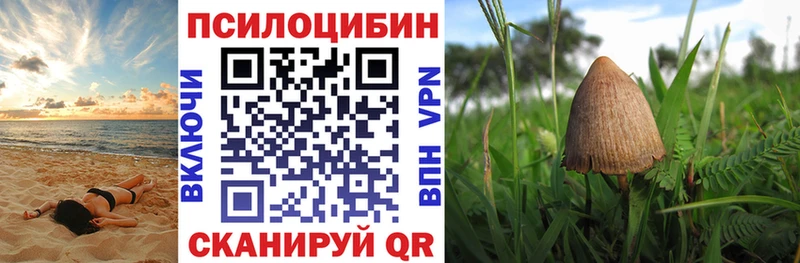 Галлюциногенные грибы мухоморы  закладки  omg как войти  Вологда 