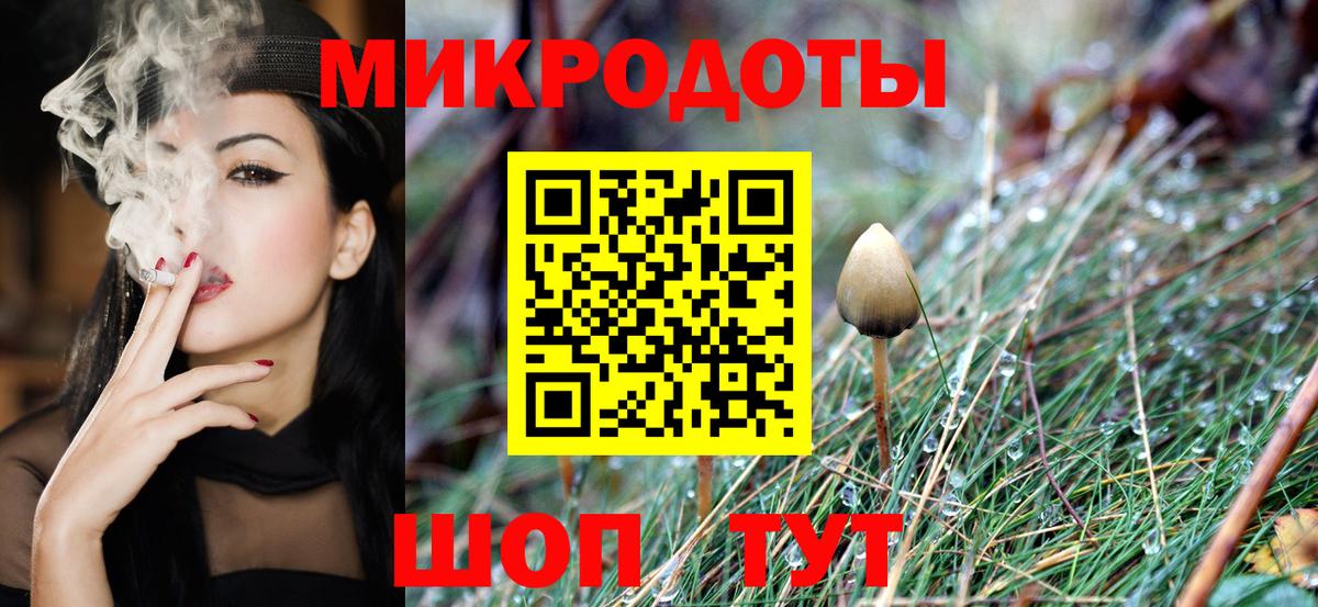 Галлюциногенные грибы прущие грибы Вологда